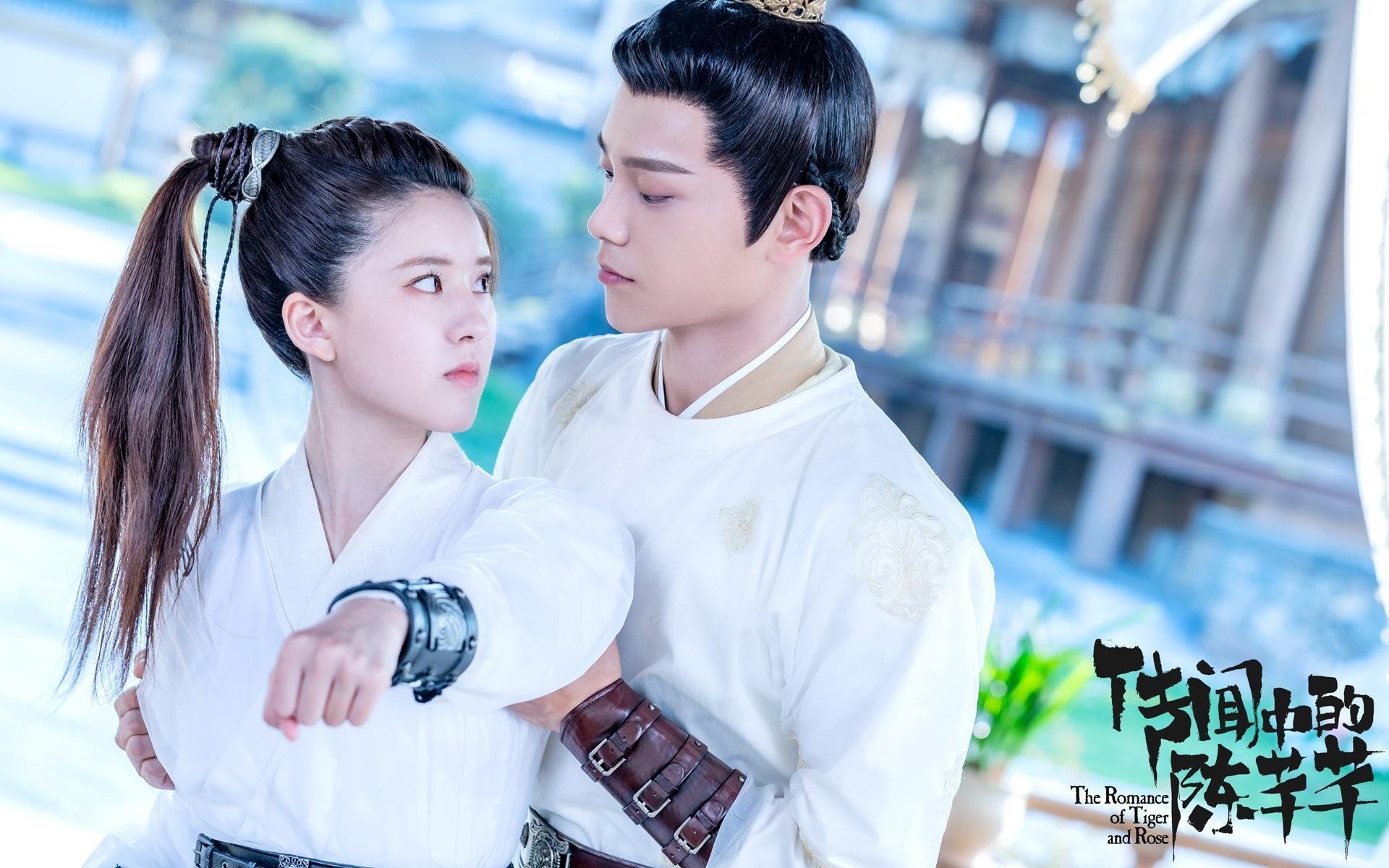 波兰队的技术创新:如何在国际乒联混合团体世界杯中脱颖而出,波兰队怎么样