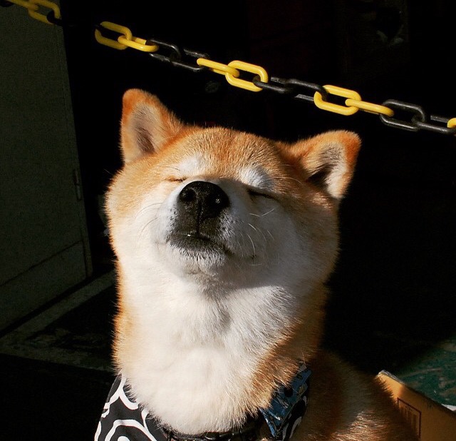 乐鱼官网介绍-职业联赛替补球员上场时间分配不科学，替补球员从哪上场