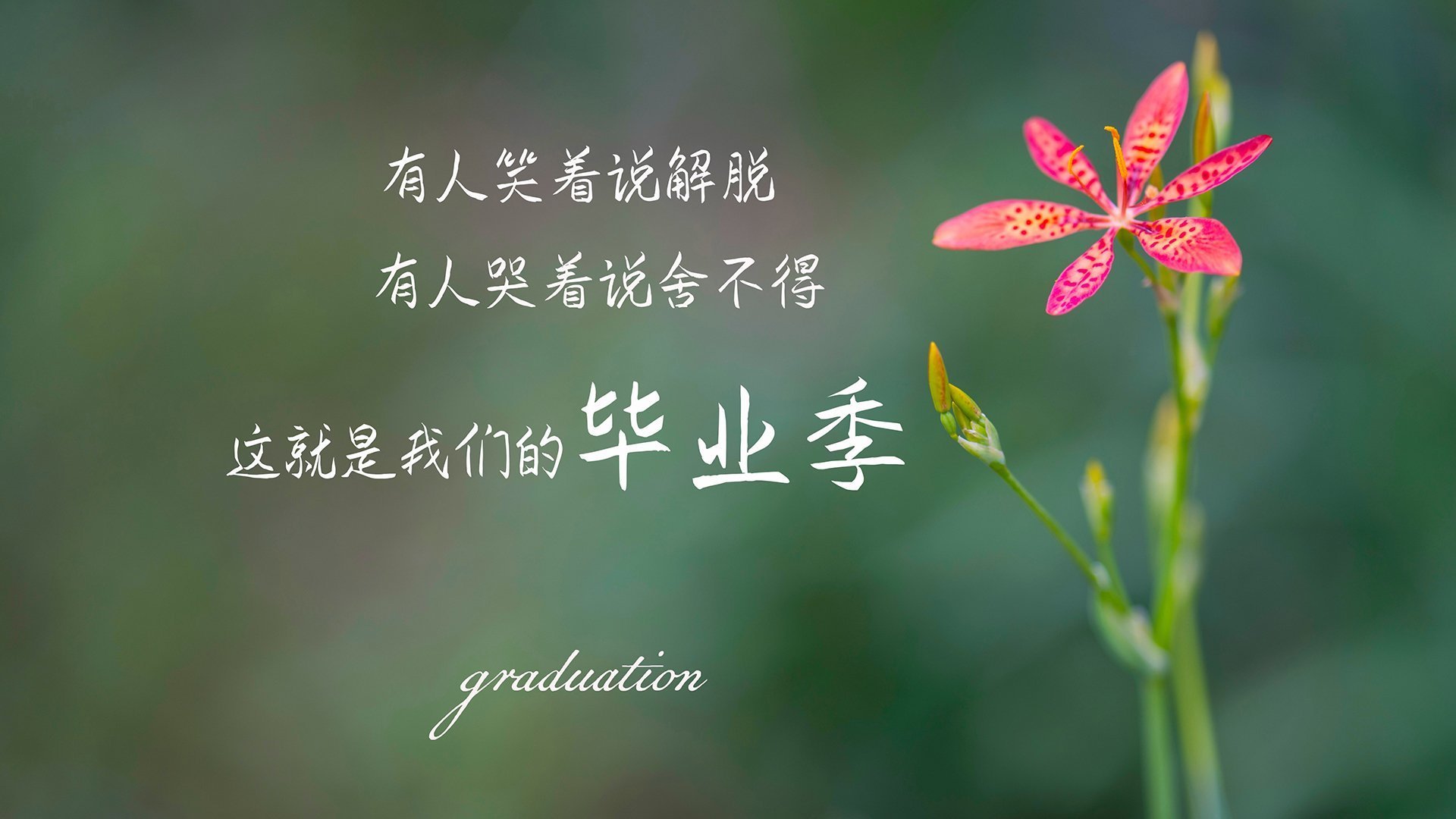 职业联赛替补球员上场时间分配不科学,替补球员从哪上场