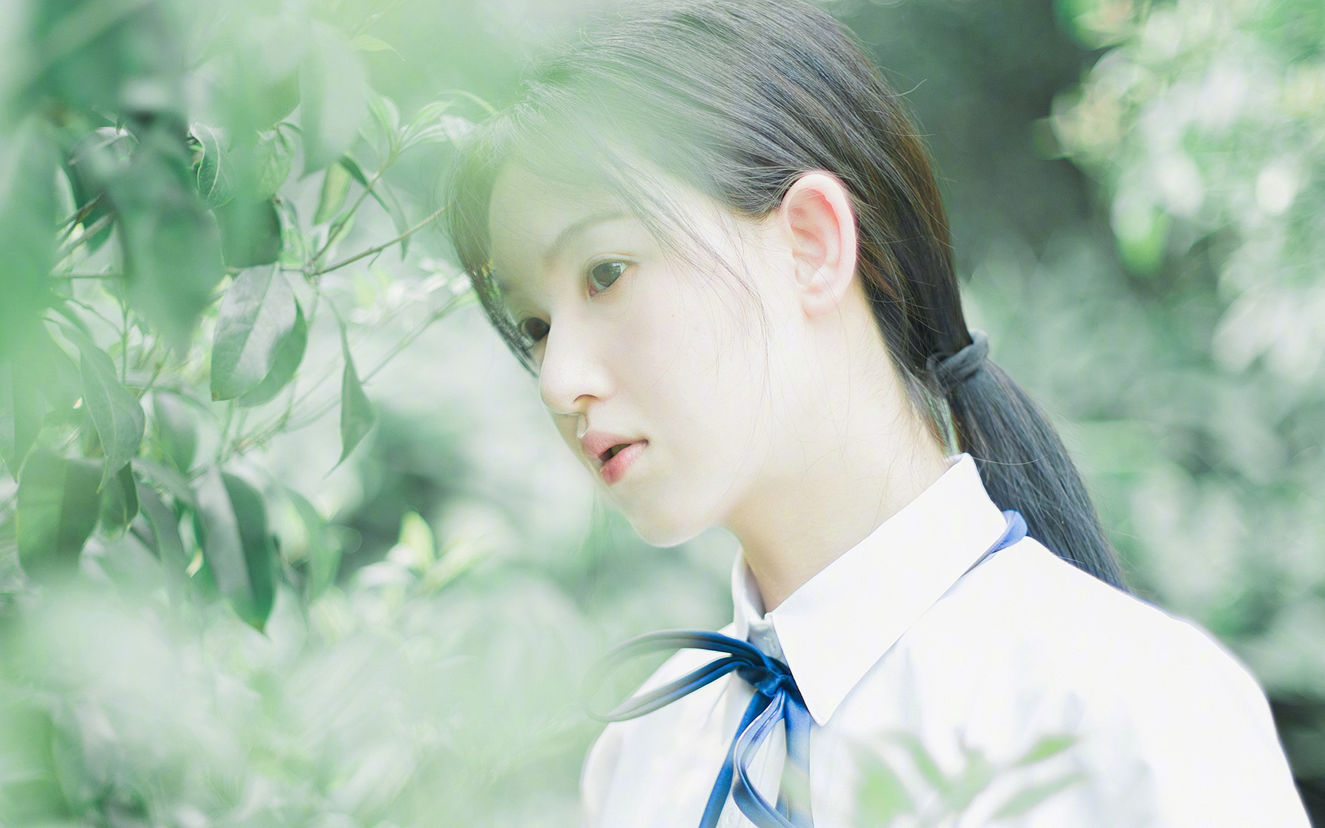 “阿根廷美洲狮队的全新战术引领橄榄球未来”