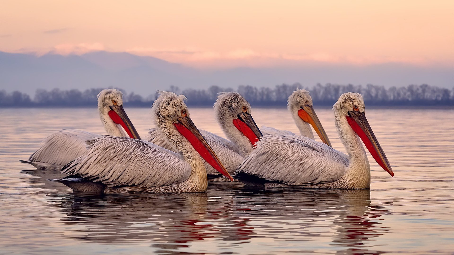 史密斯赛场表现获教练高度评价，史密斯比赛视频