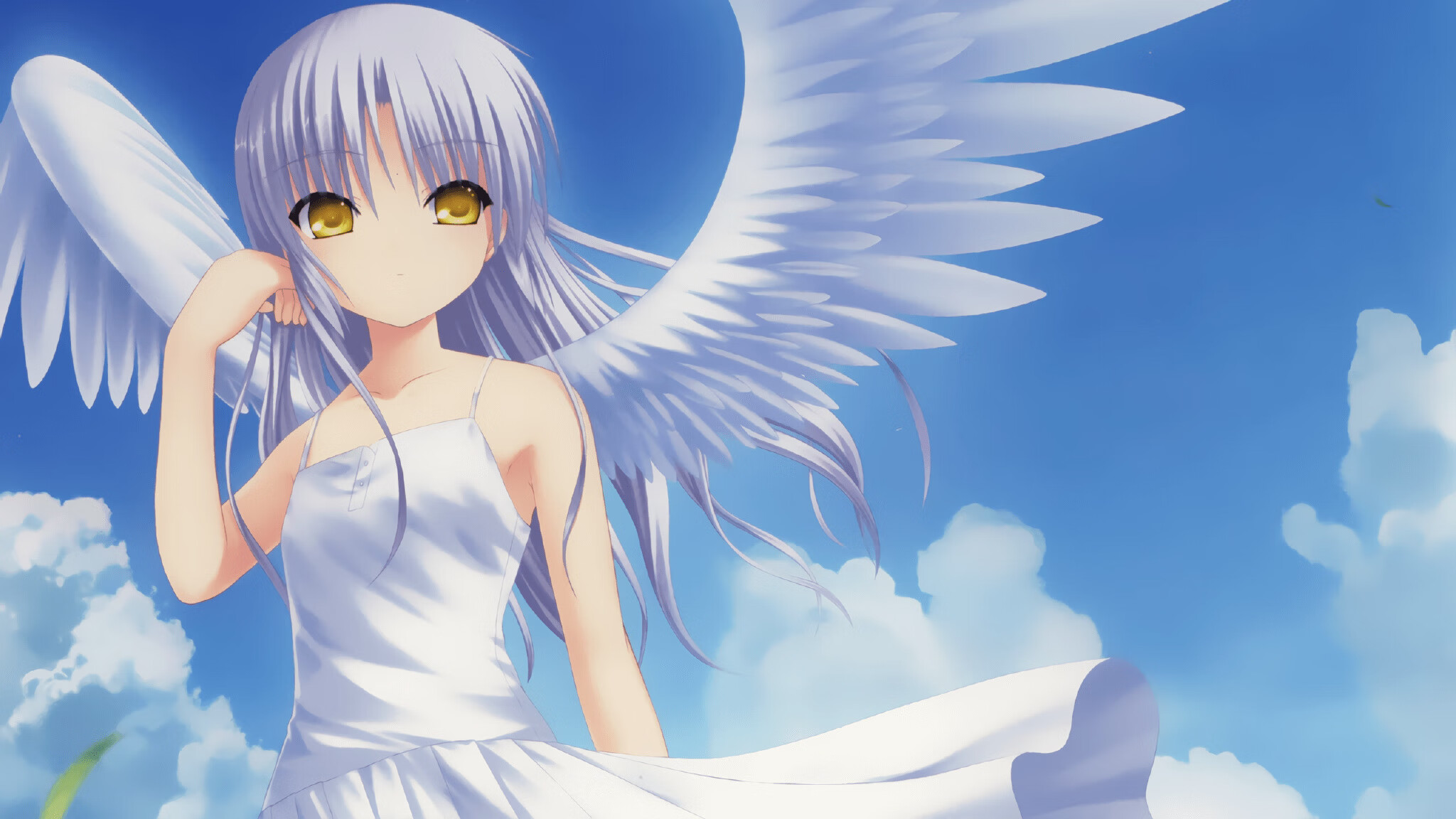 国家滑板队公布首次大型赛事举办计划,国家滑板队公布首次大型赛事举办计划